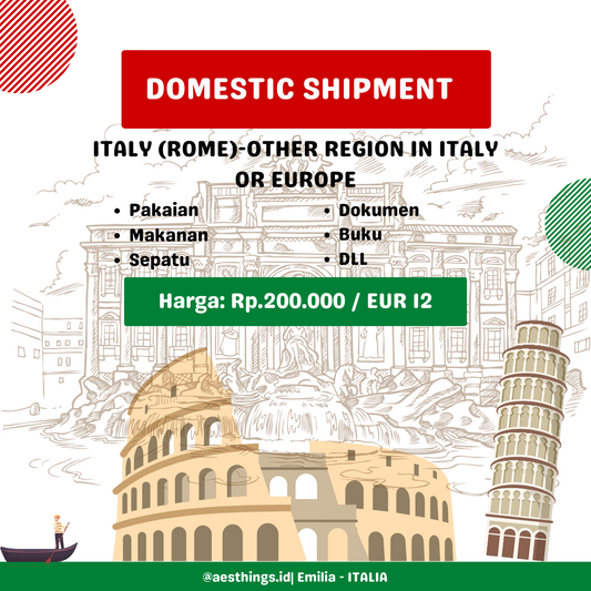 DOMESTIC SHIPMENT (ROME-OTHER CITY IN ITALY/EUROPE)